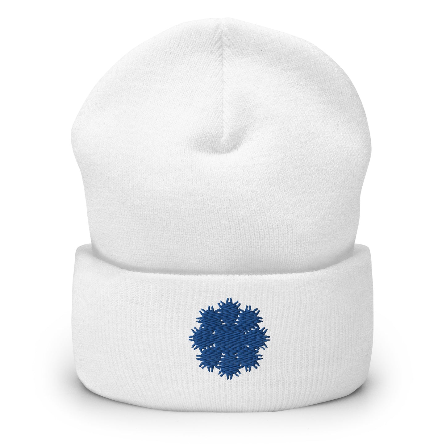 Cuffed Beanie
