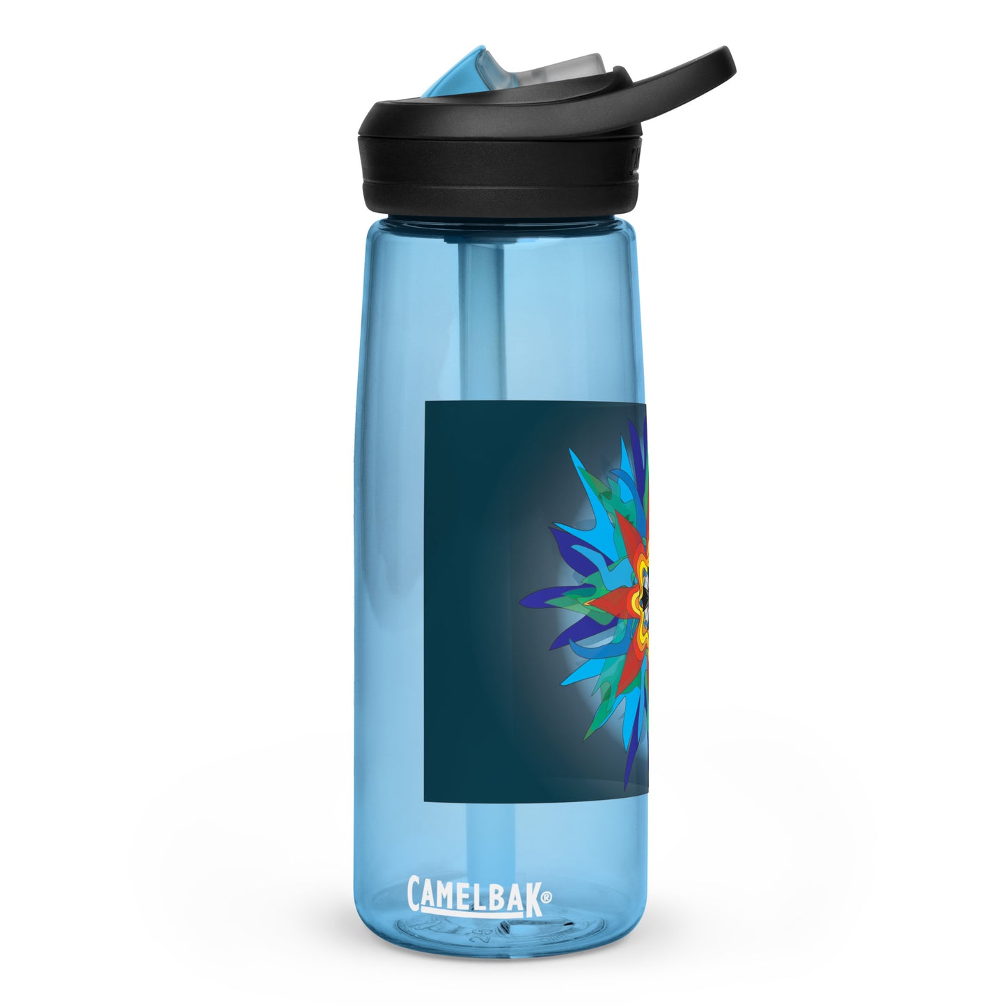 Sports water bottle