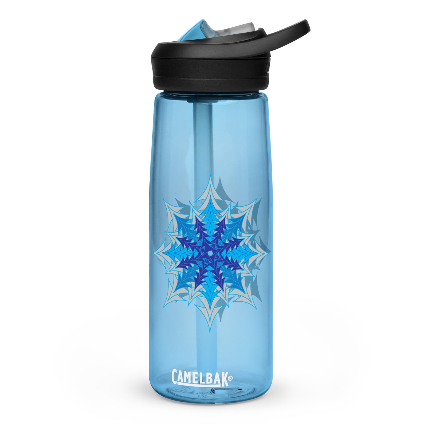 Sports water bottle