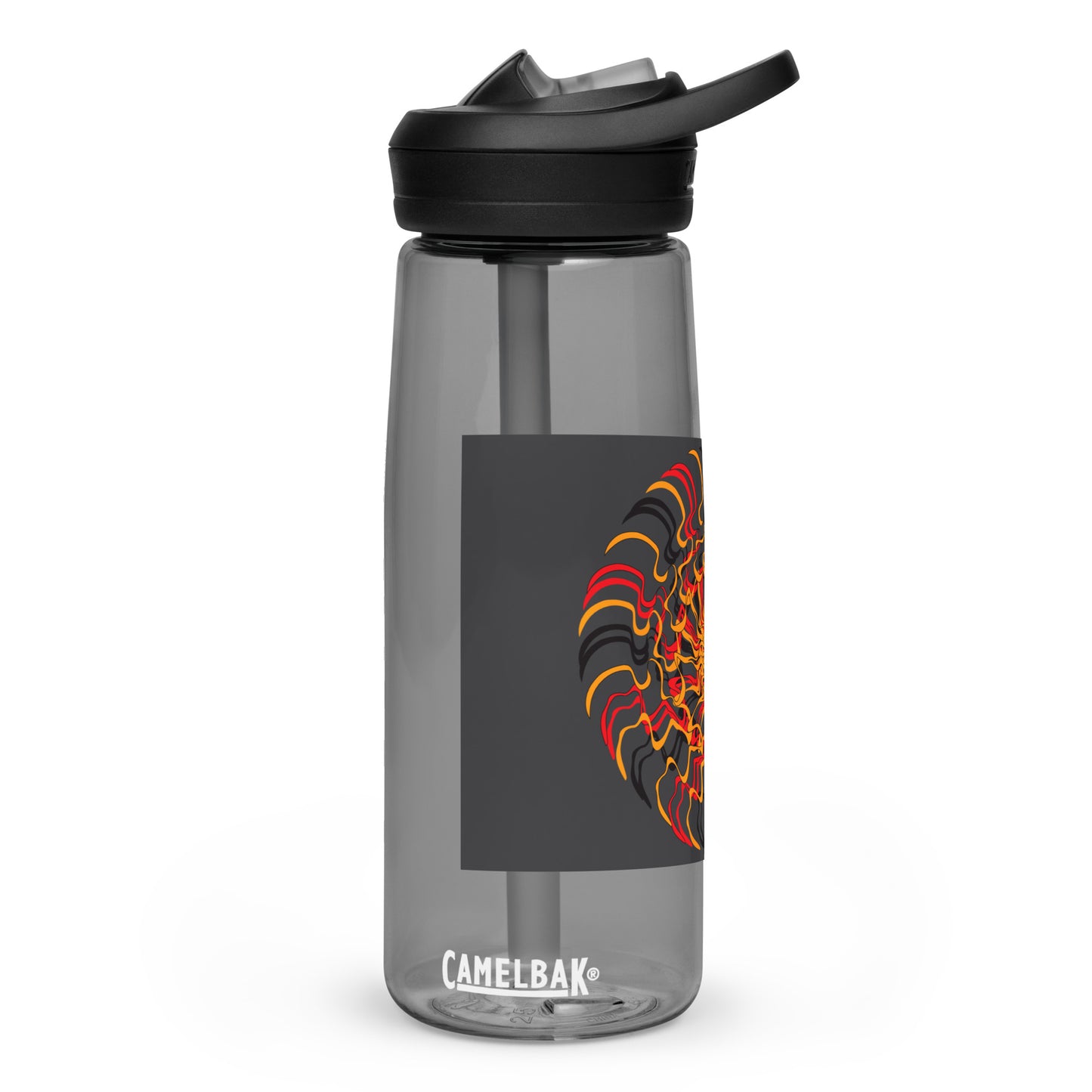 Sports water bottle
