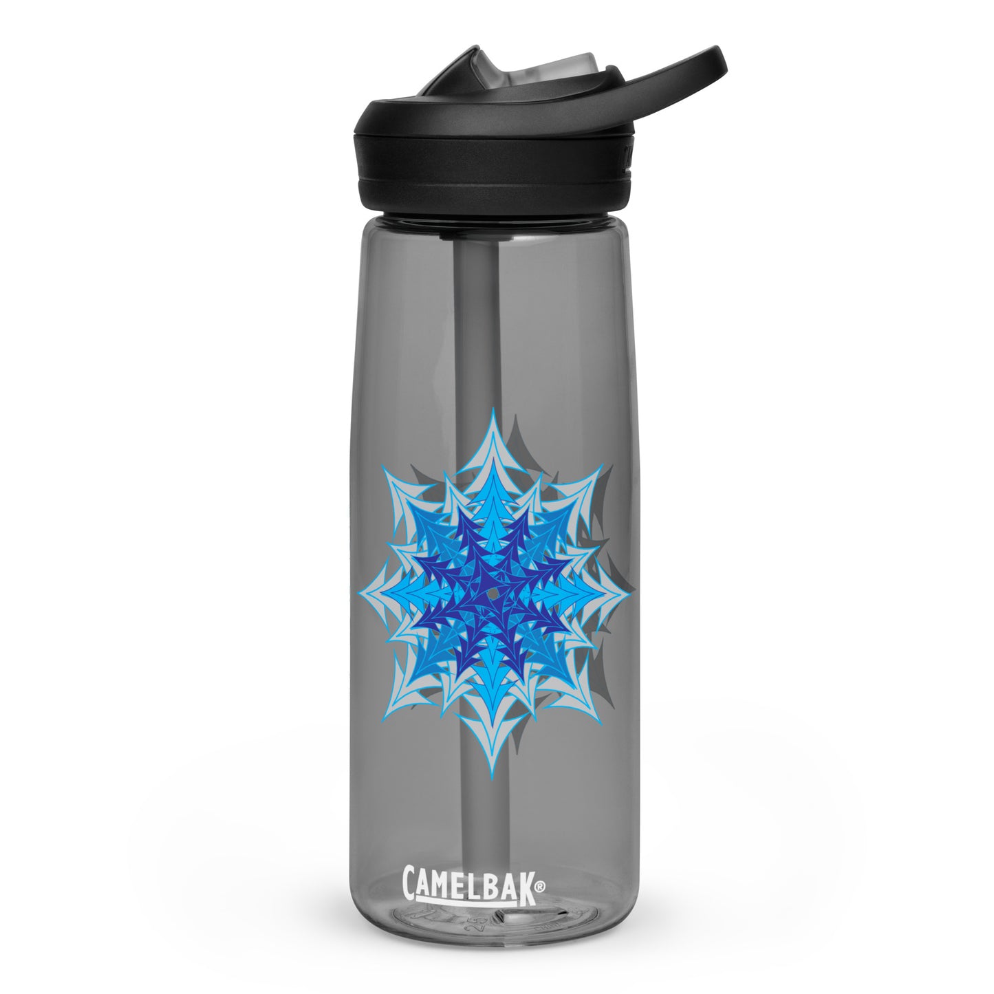 Sports water bottle