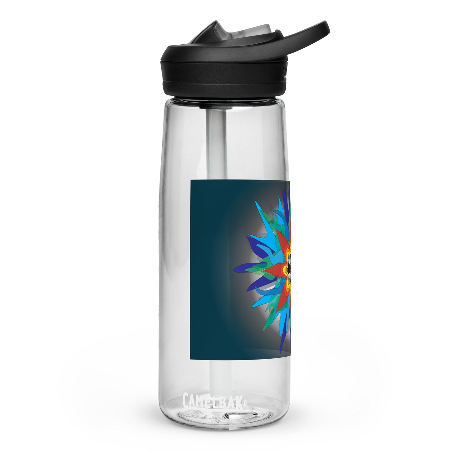 Sports water bottle