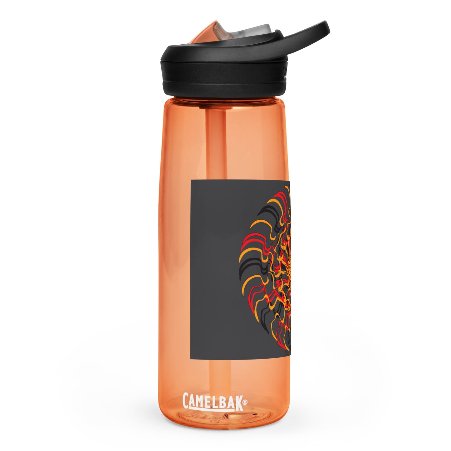 Sports water bottle