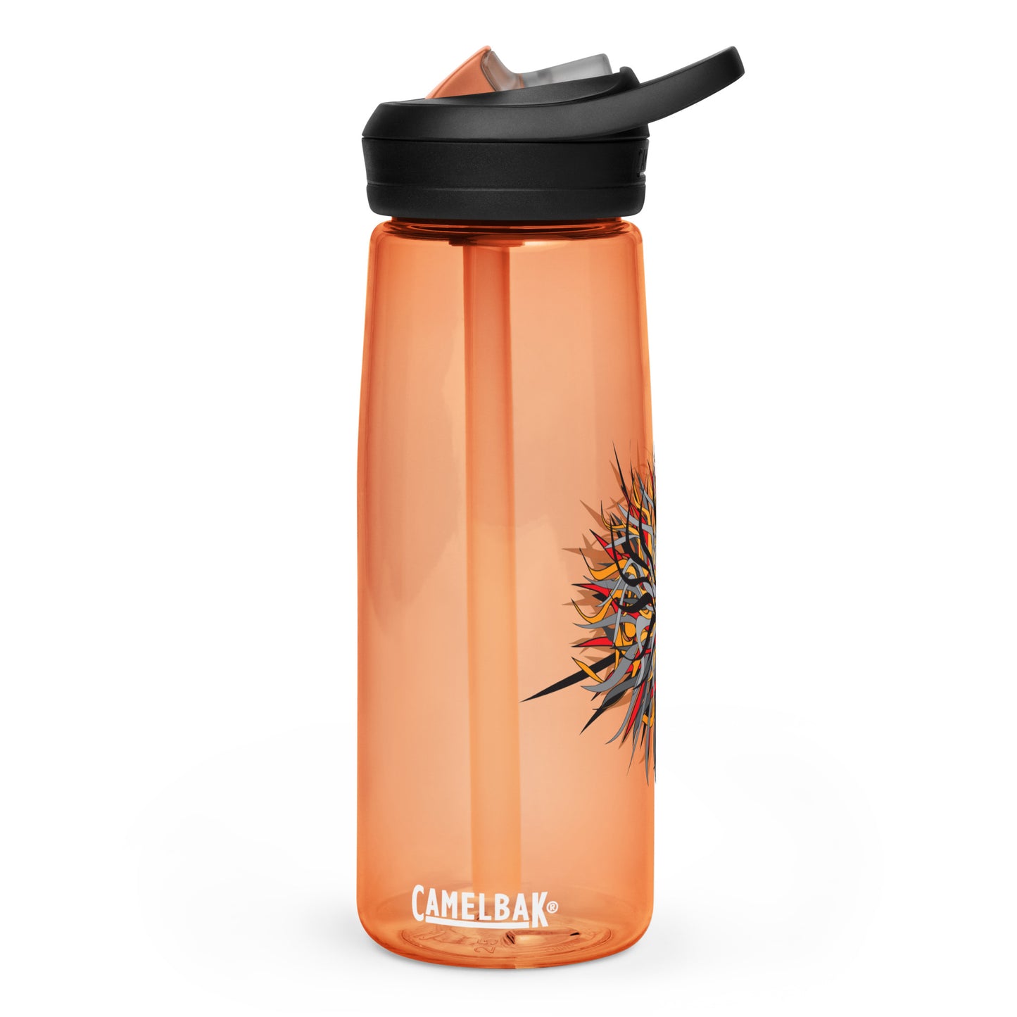 Sports water bottle