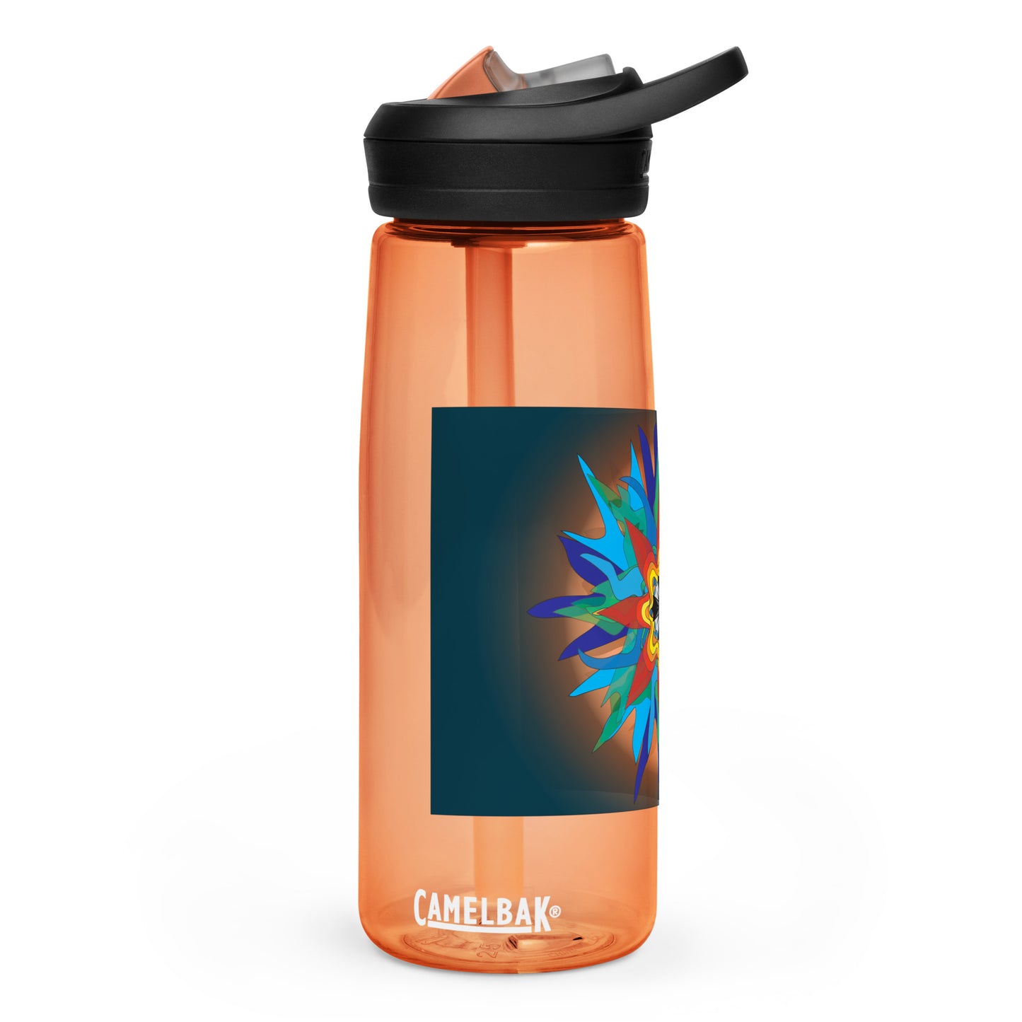 Sports water bottle