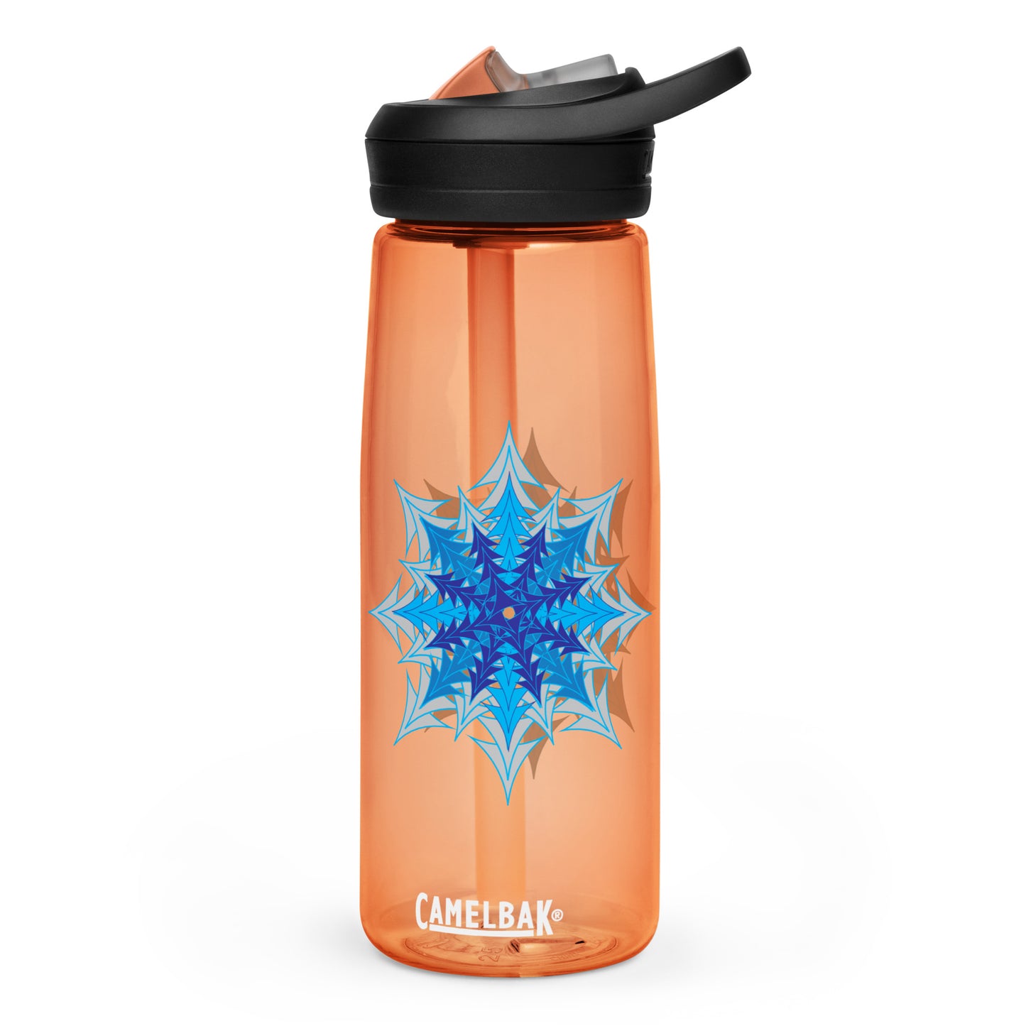 Sports water bottle