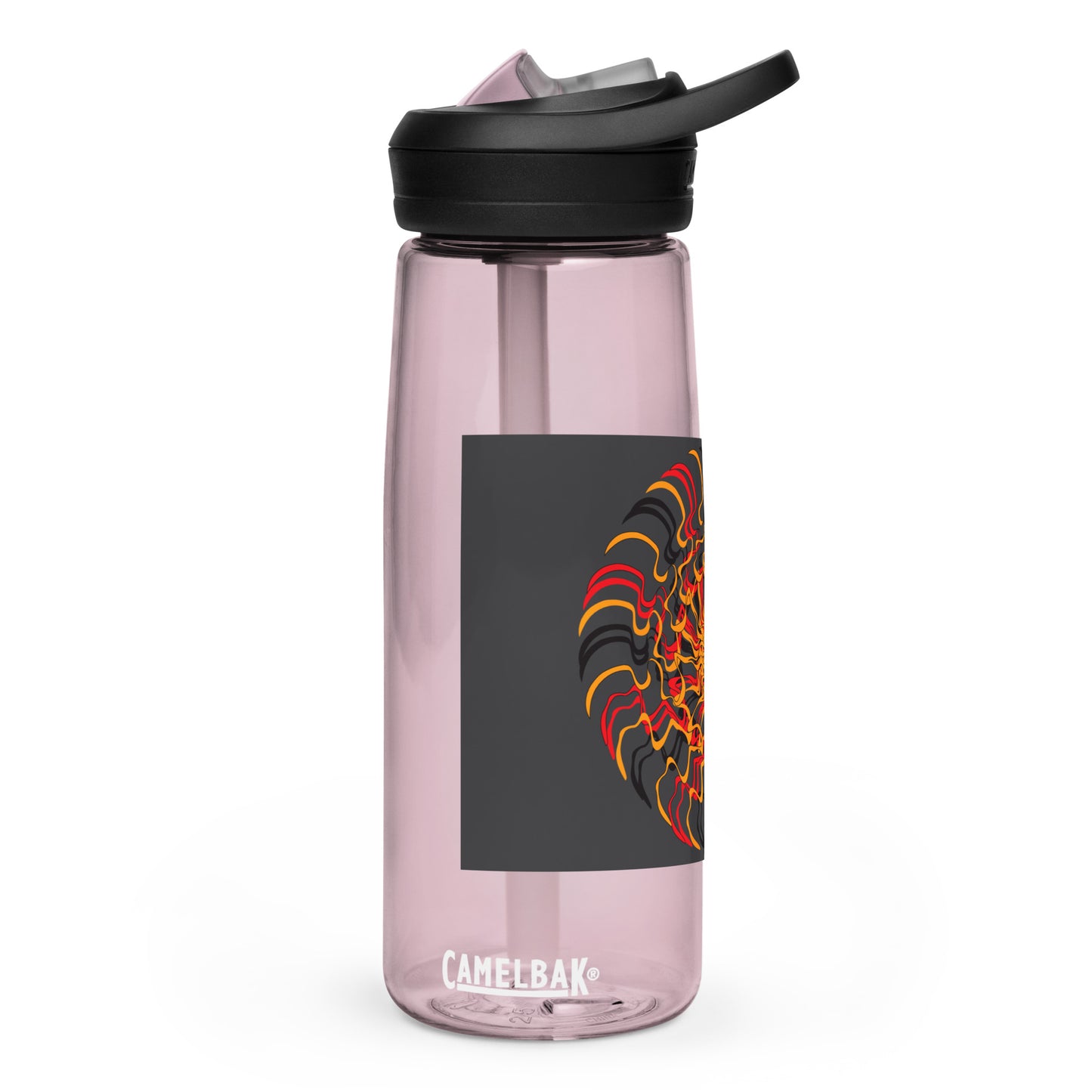 Sports water bottle