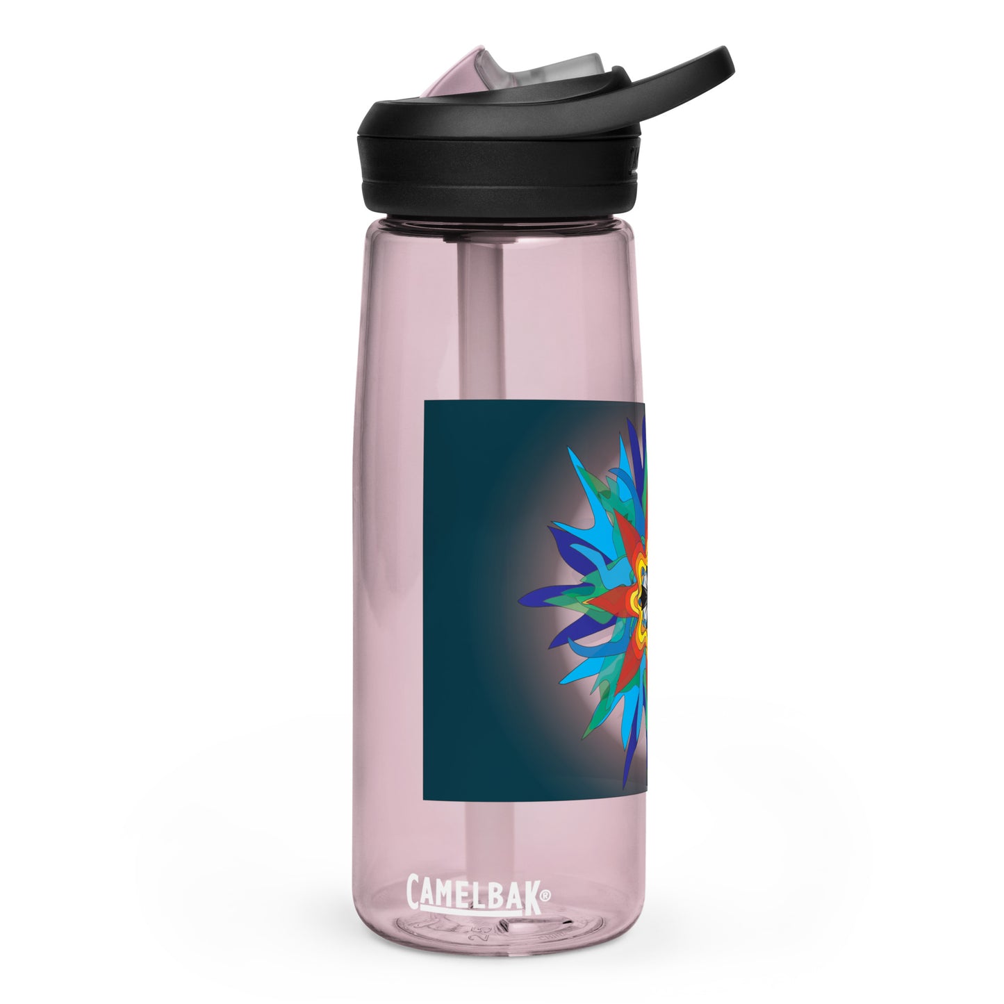 Sports water bottle