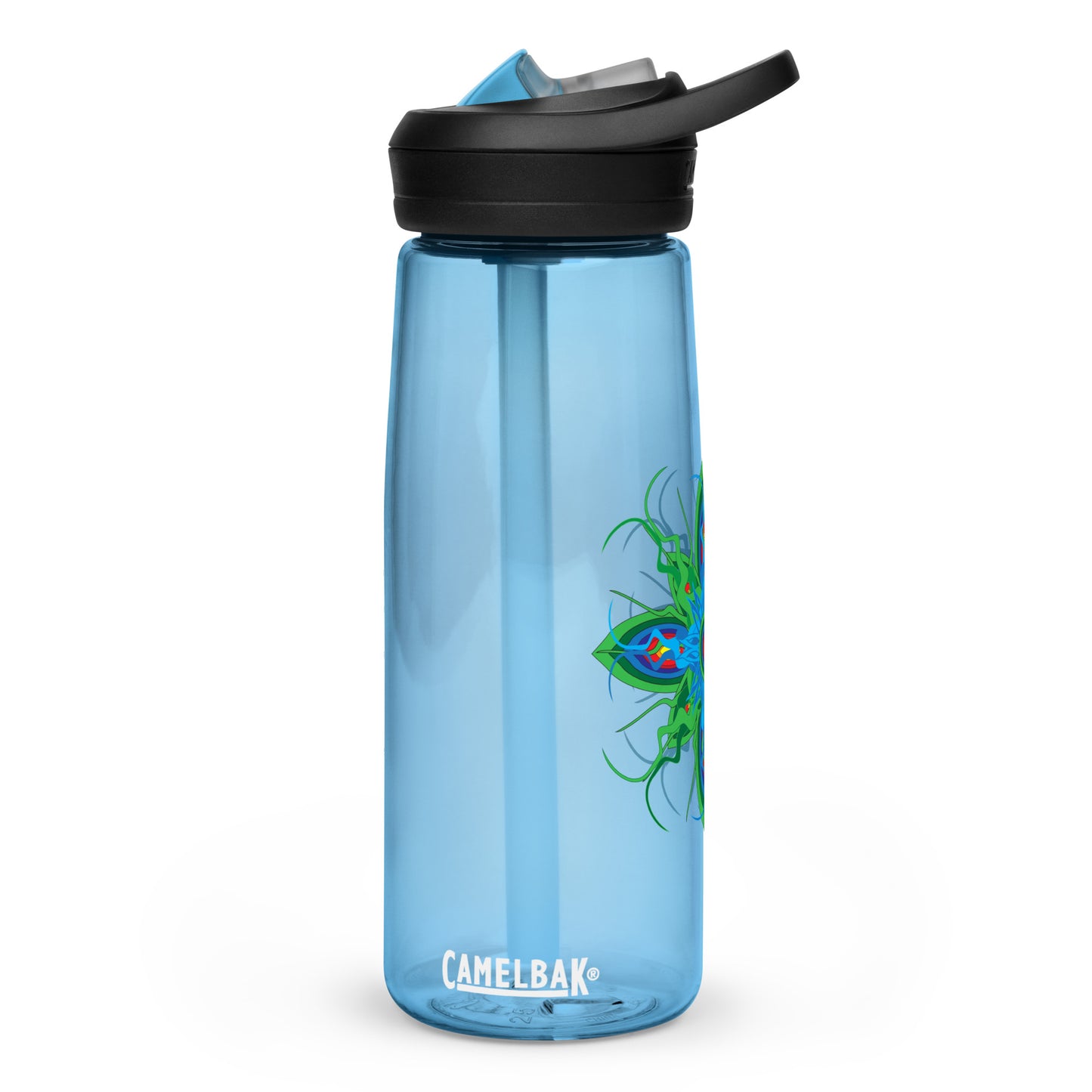 Sports water bottle