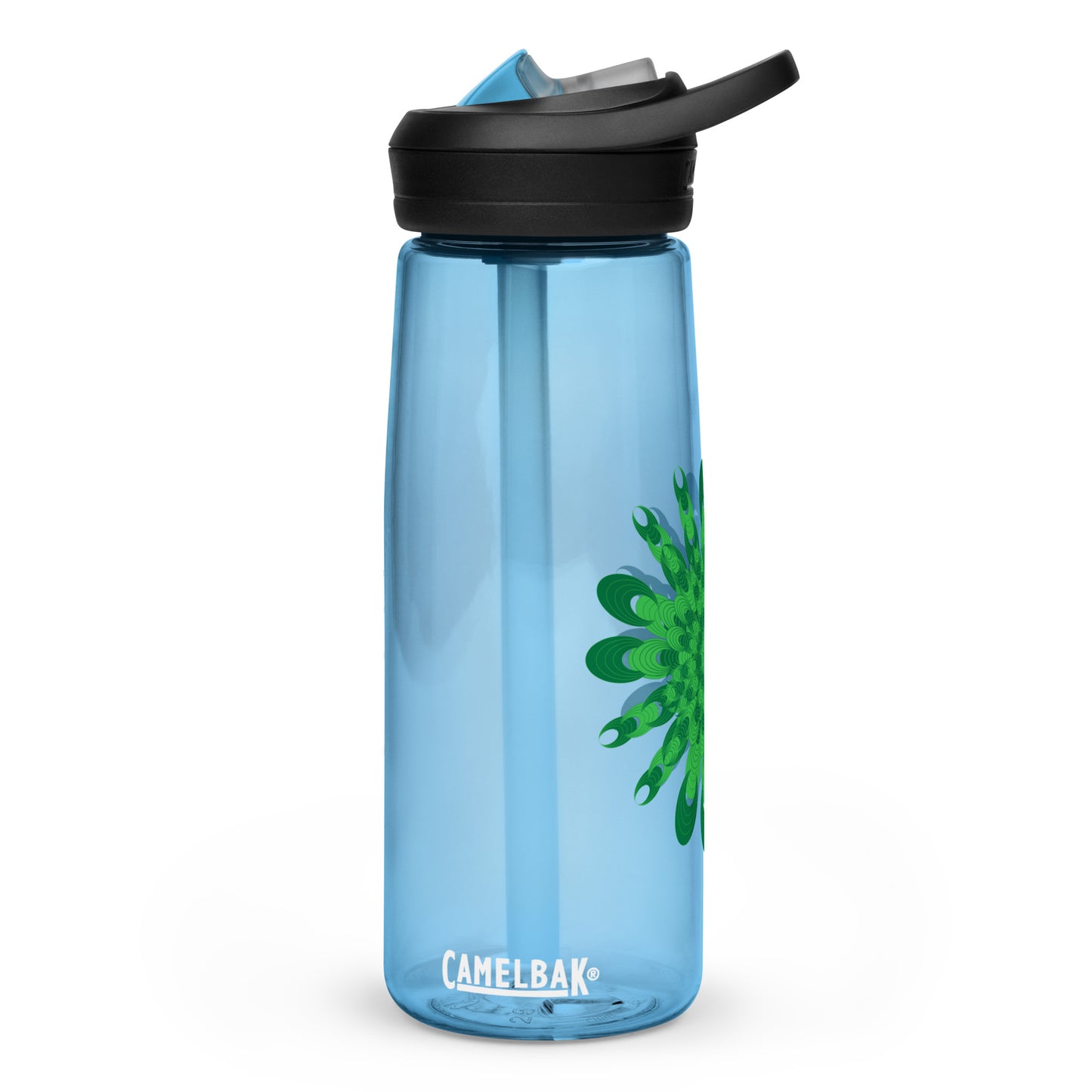 Sports water bottle