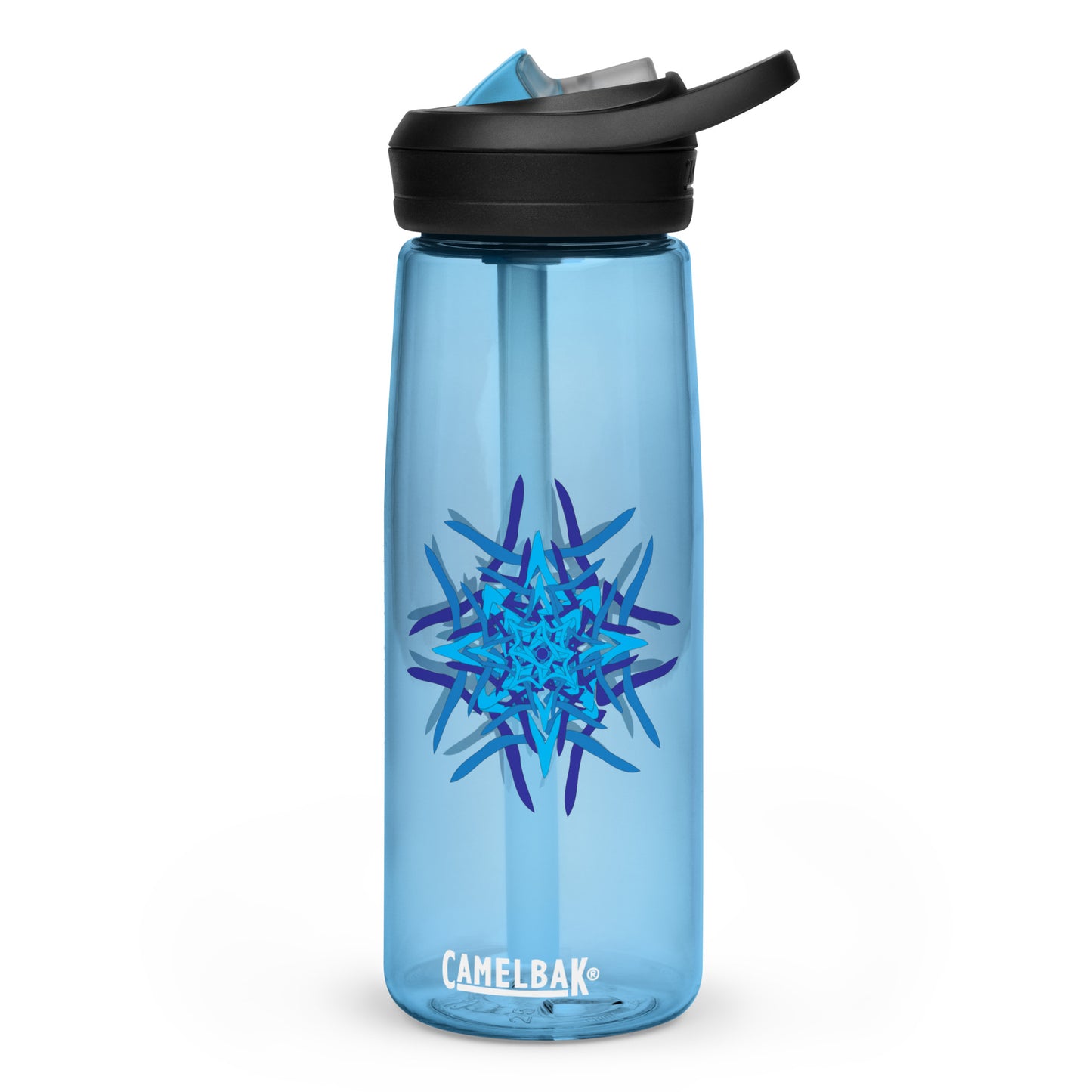 Sports water bottle