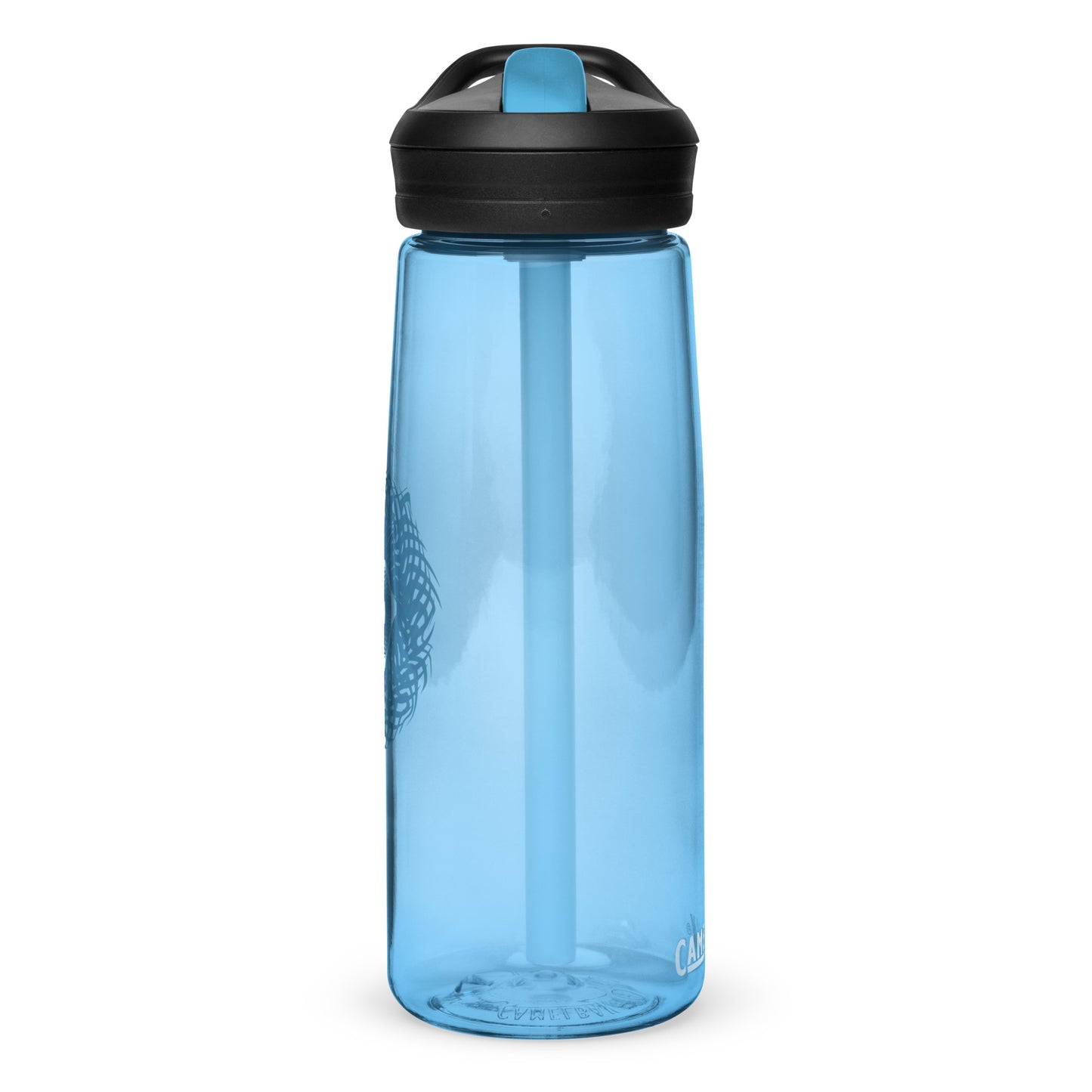 Sports water bottle