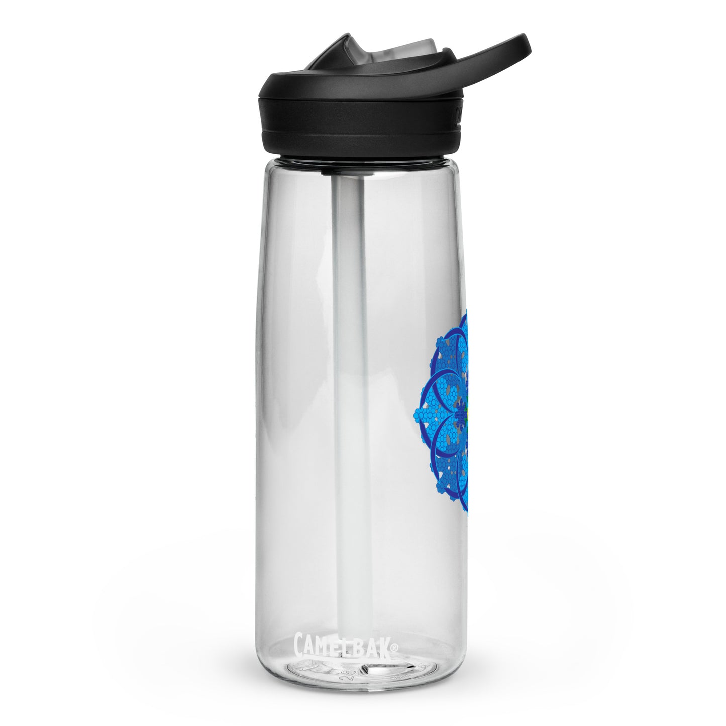 Sports water bottle