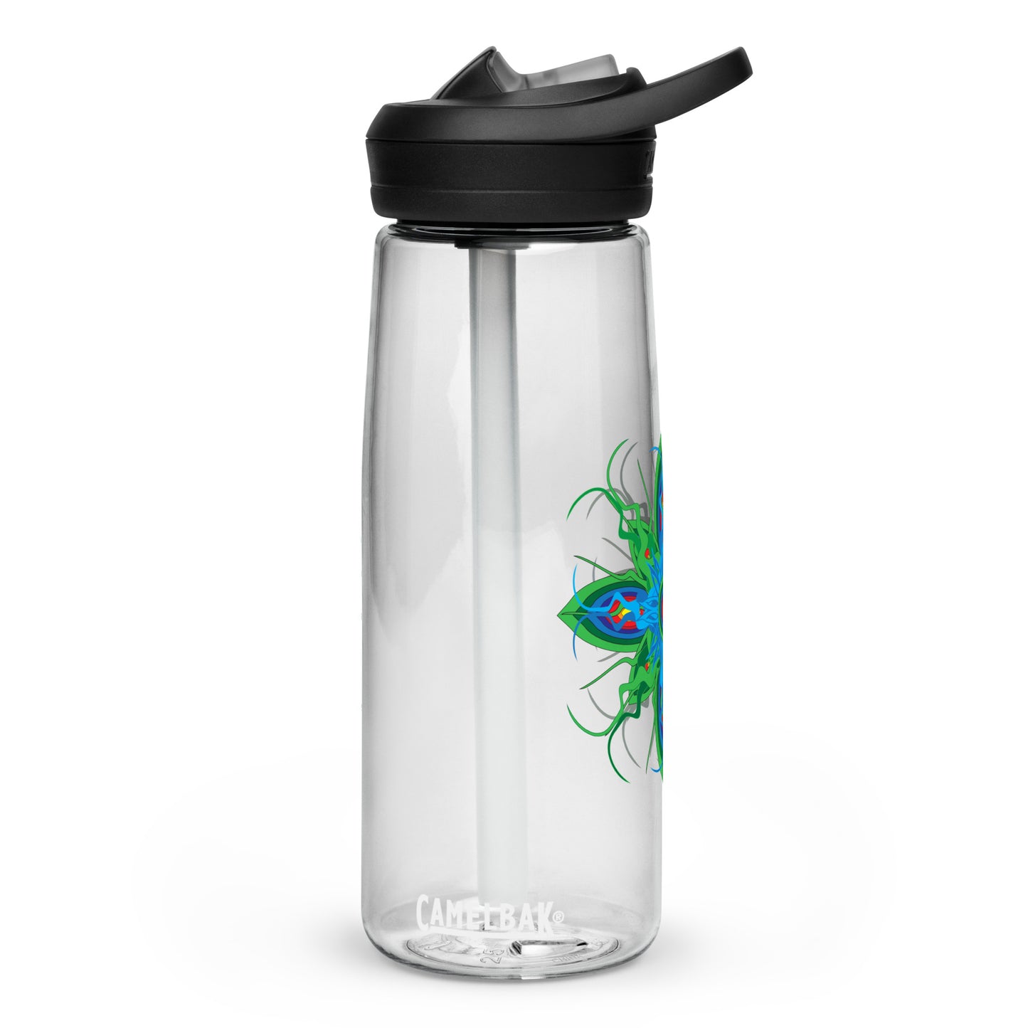 Sports water bottle