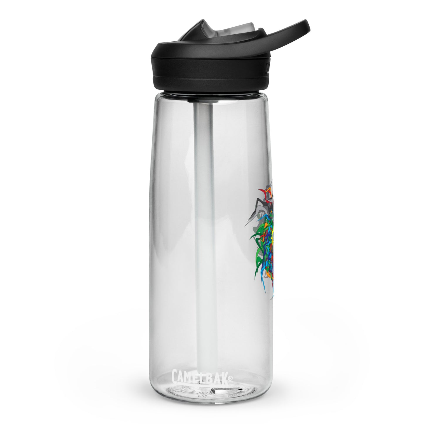 Sports water bottle