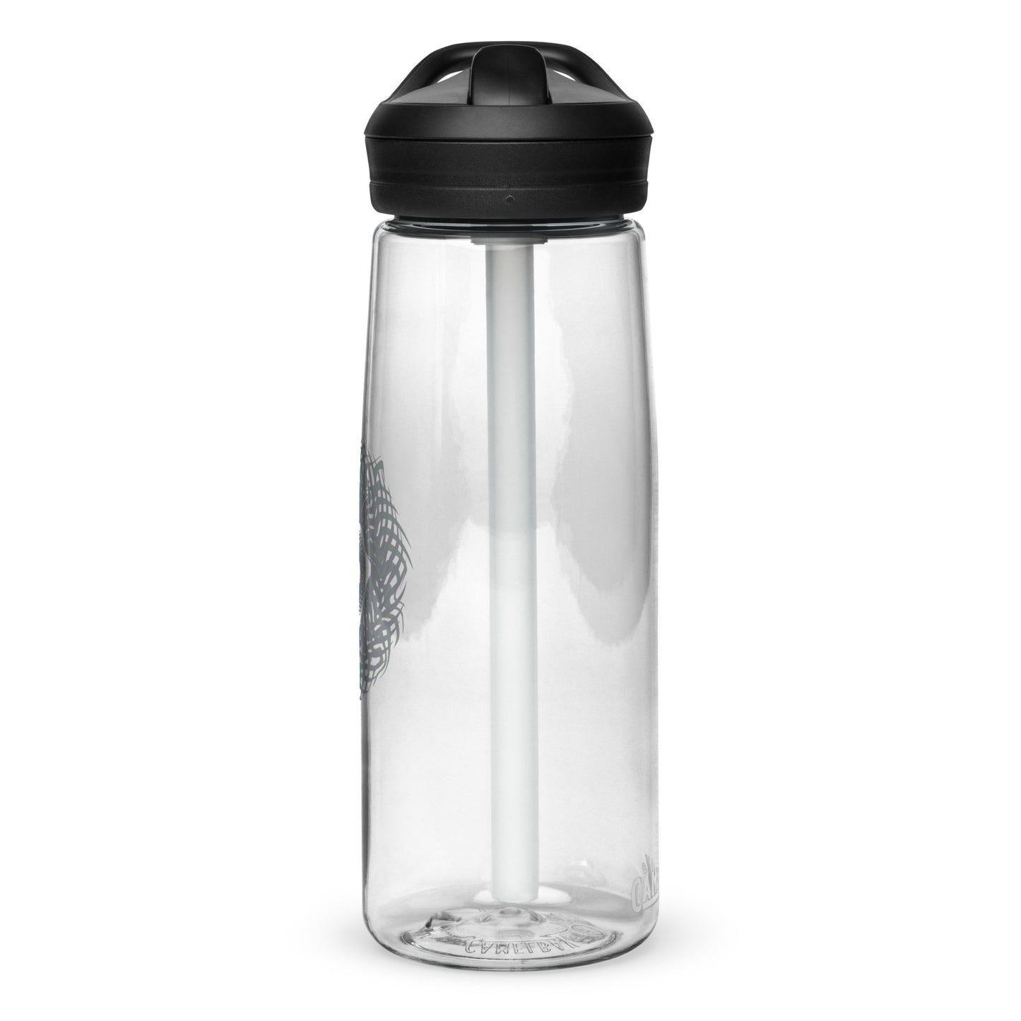 Sports water bottle