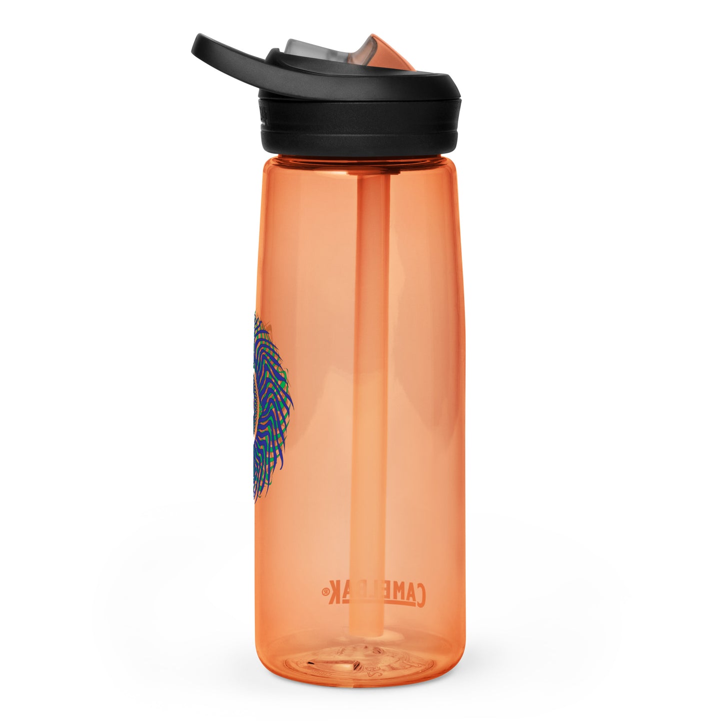 Sports water bottle