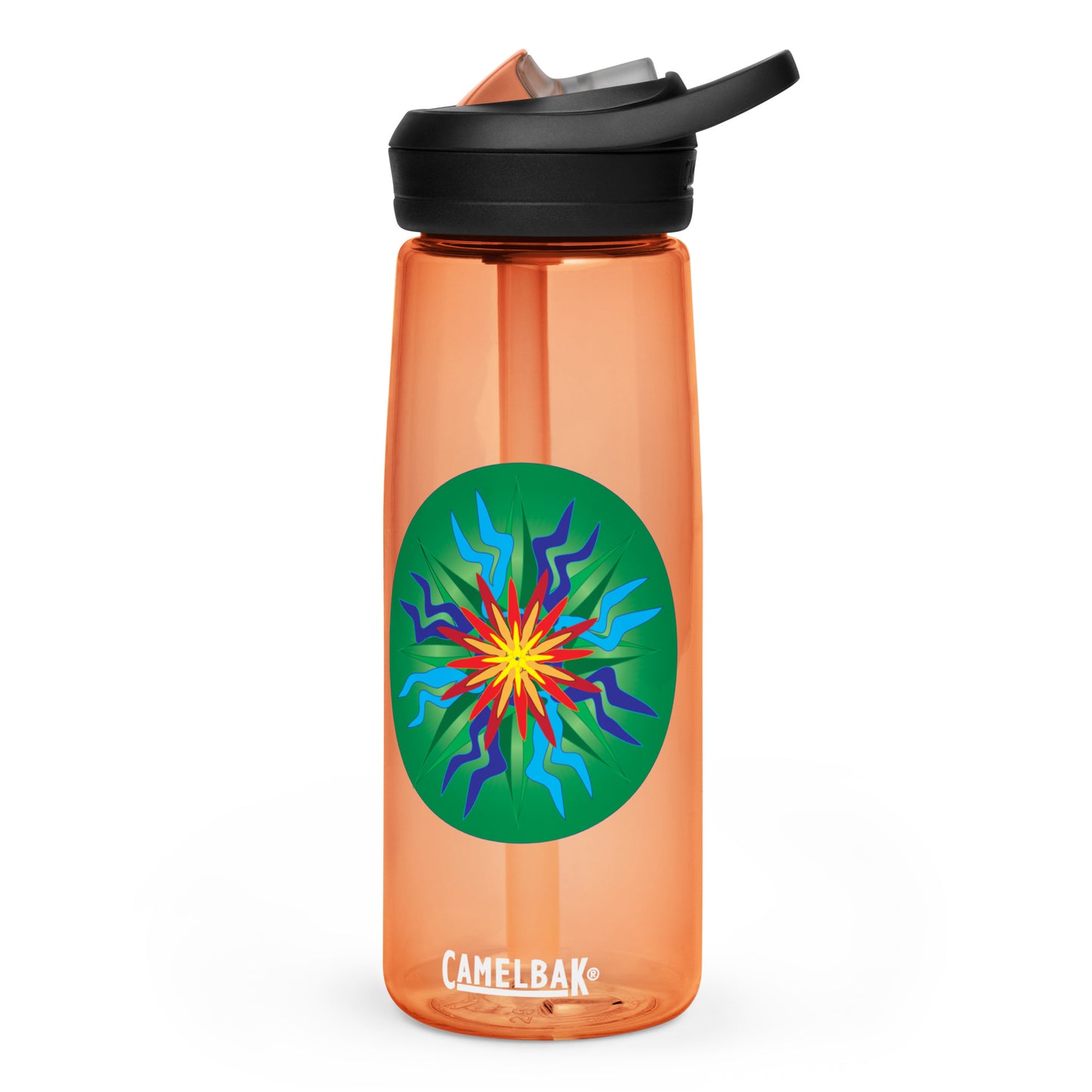 Sports water bottle