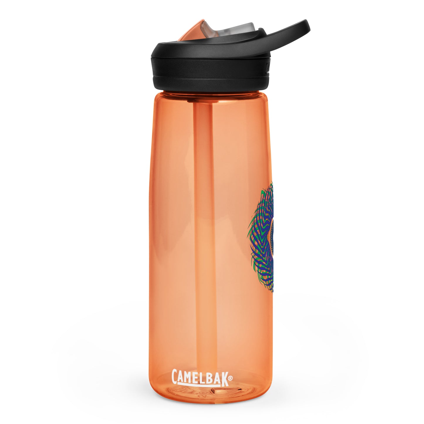 Sports water bottle