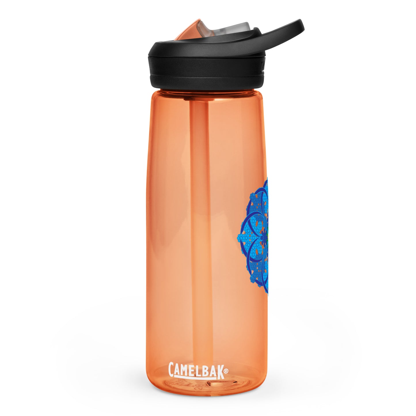 Sports water bottle