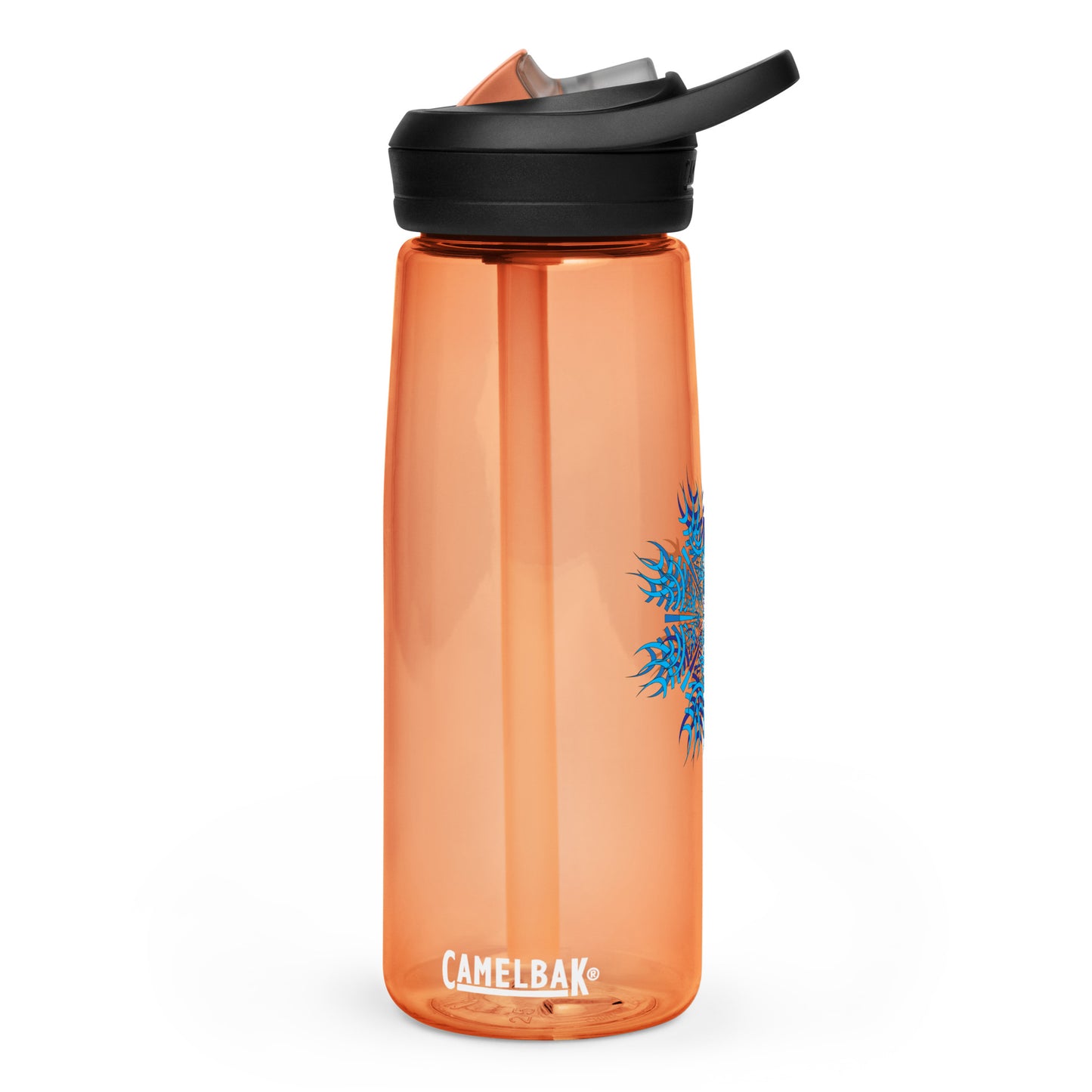 Sports water bottle