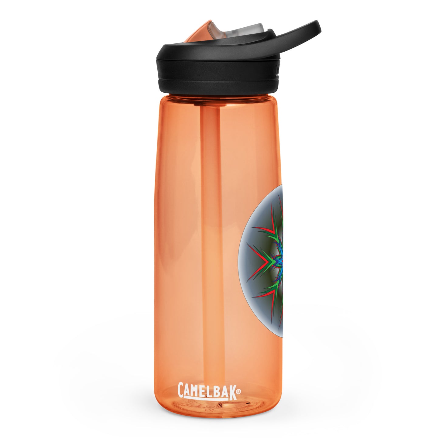 Sports water bottle