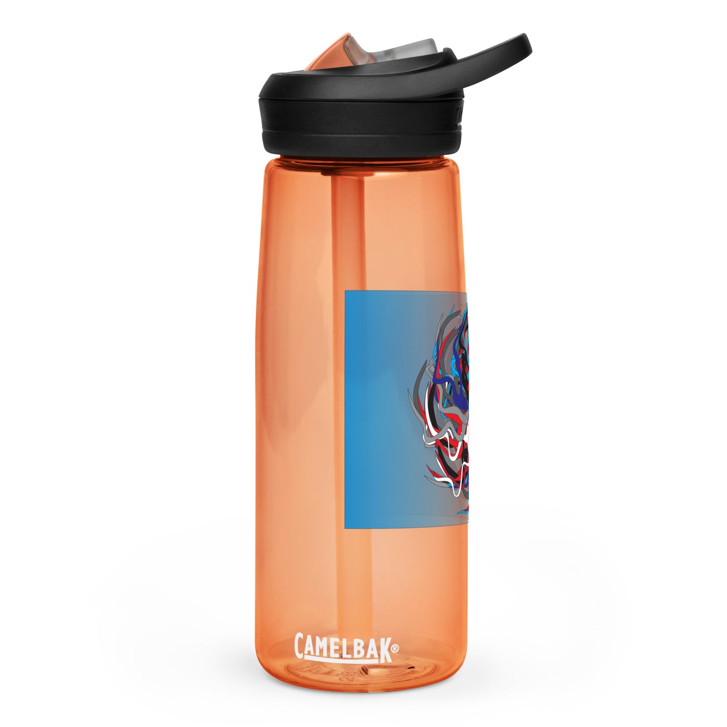 Sports water bottle