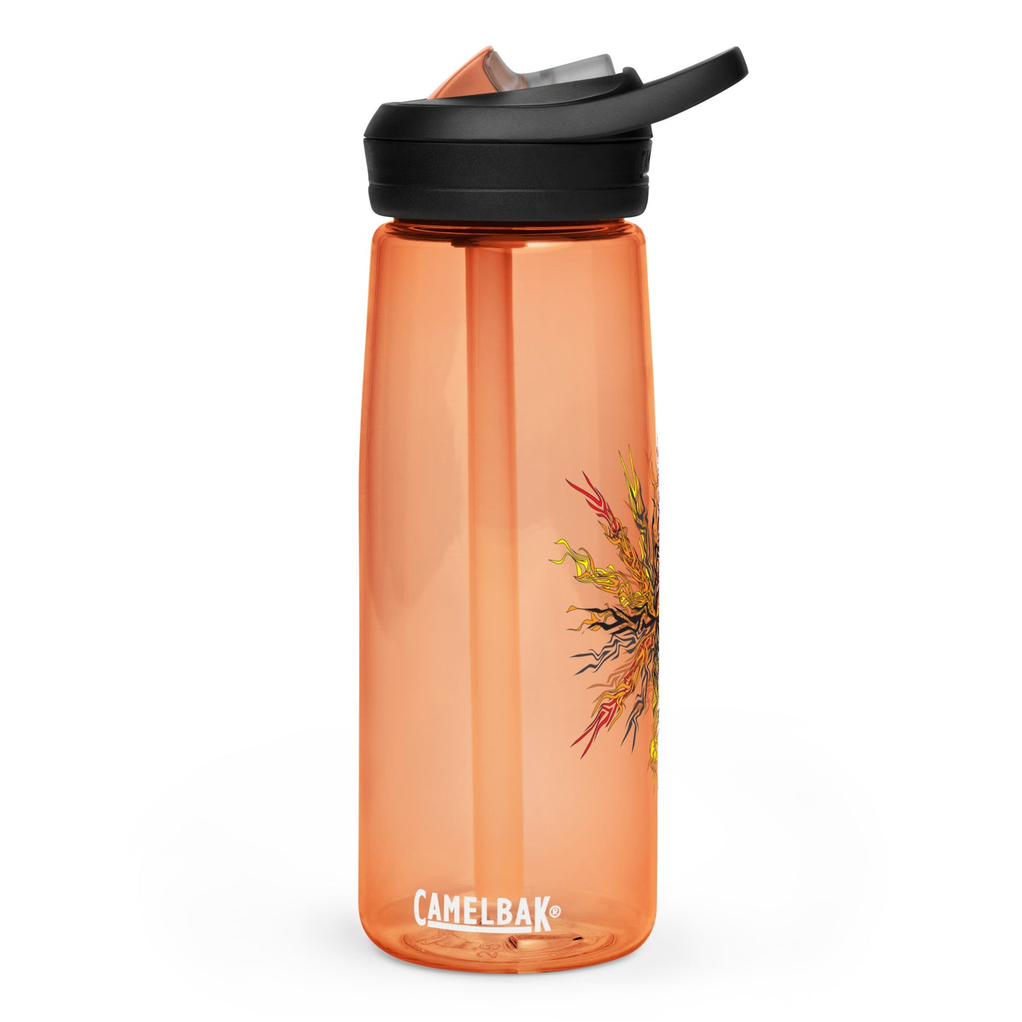 Sports water bottle