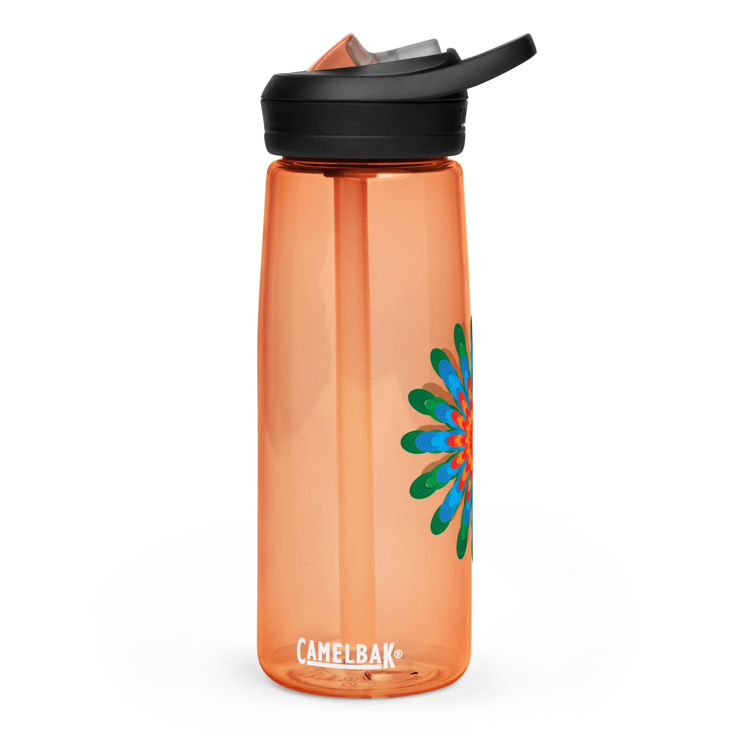 Sports water bottle