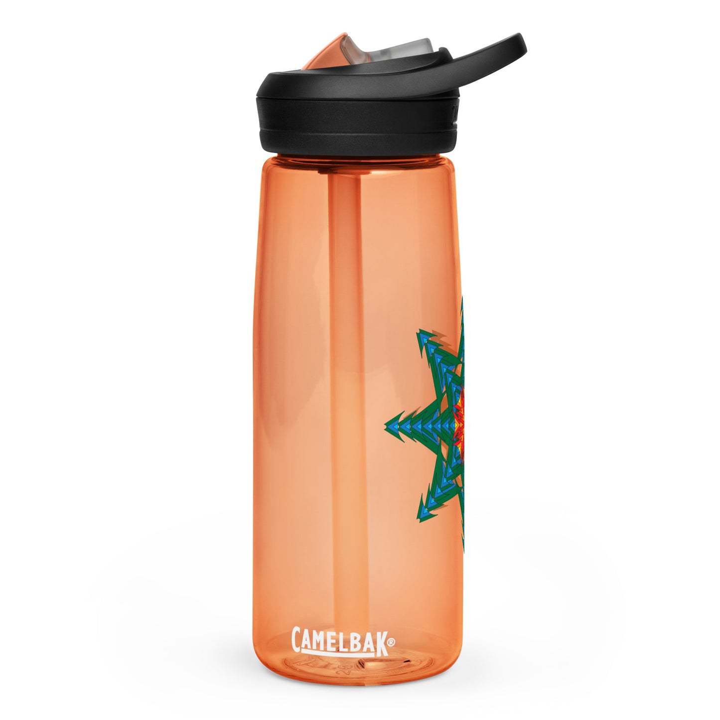 Sports water bottle