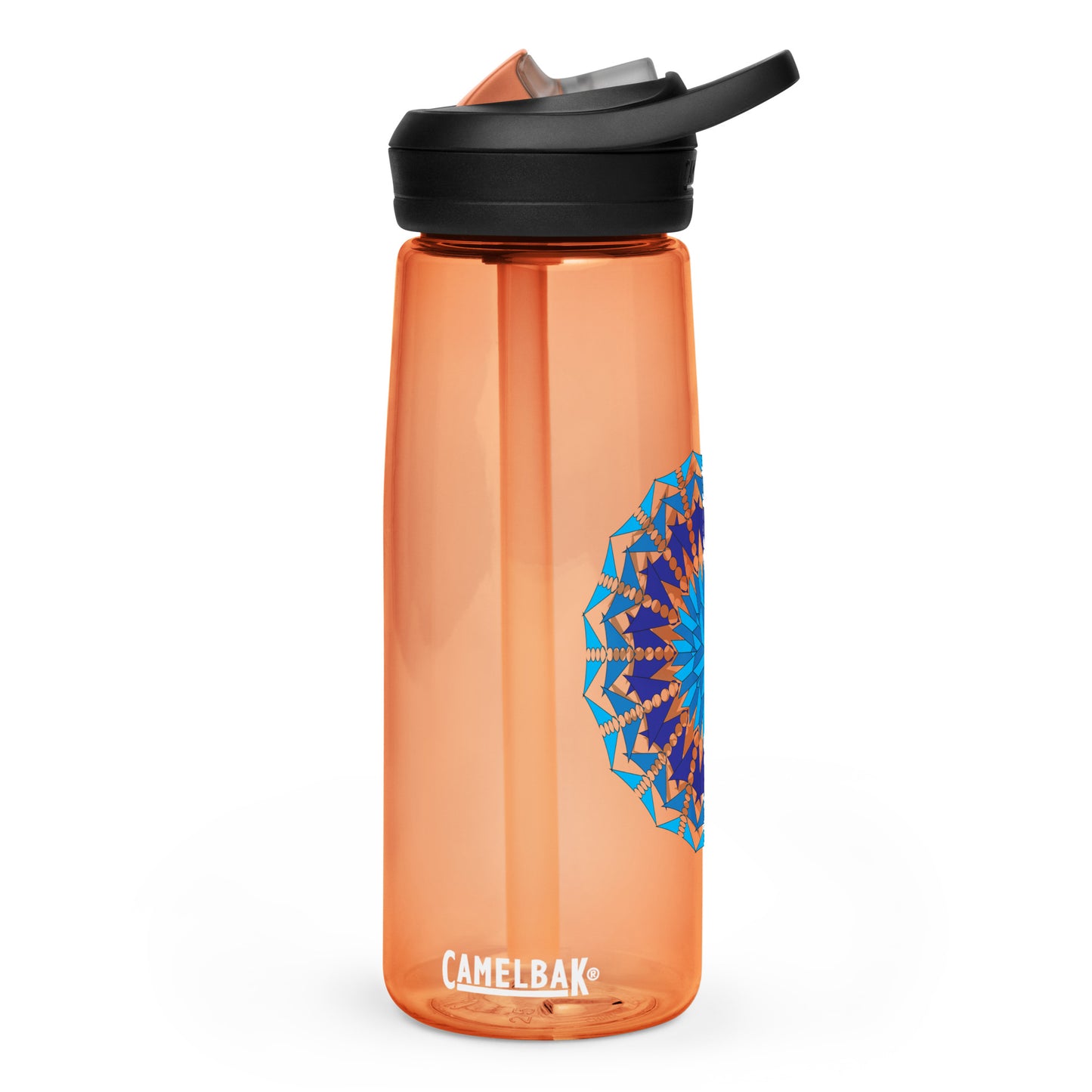 Sports water bottle