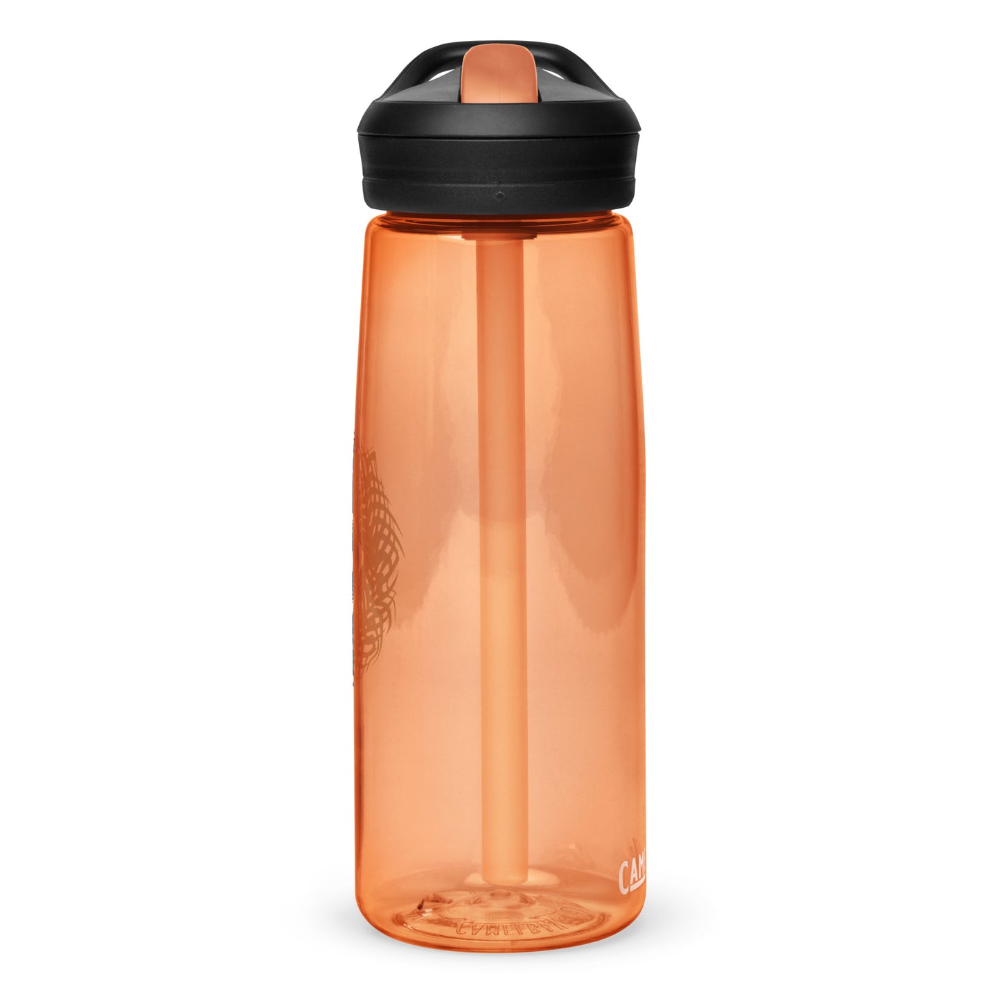 Sports water bottle