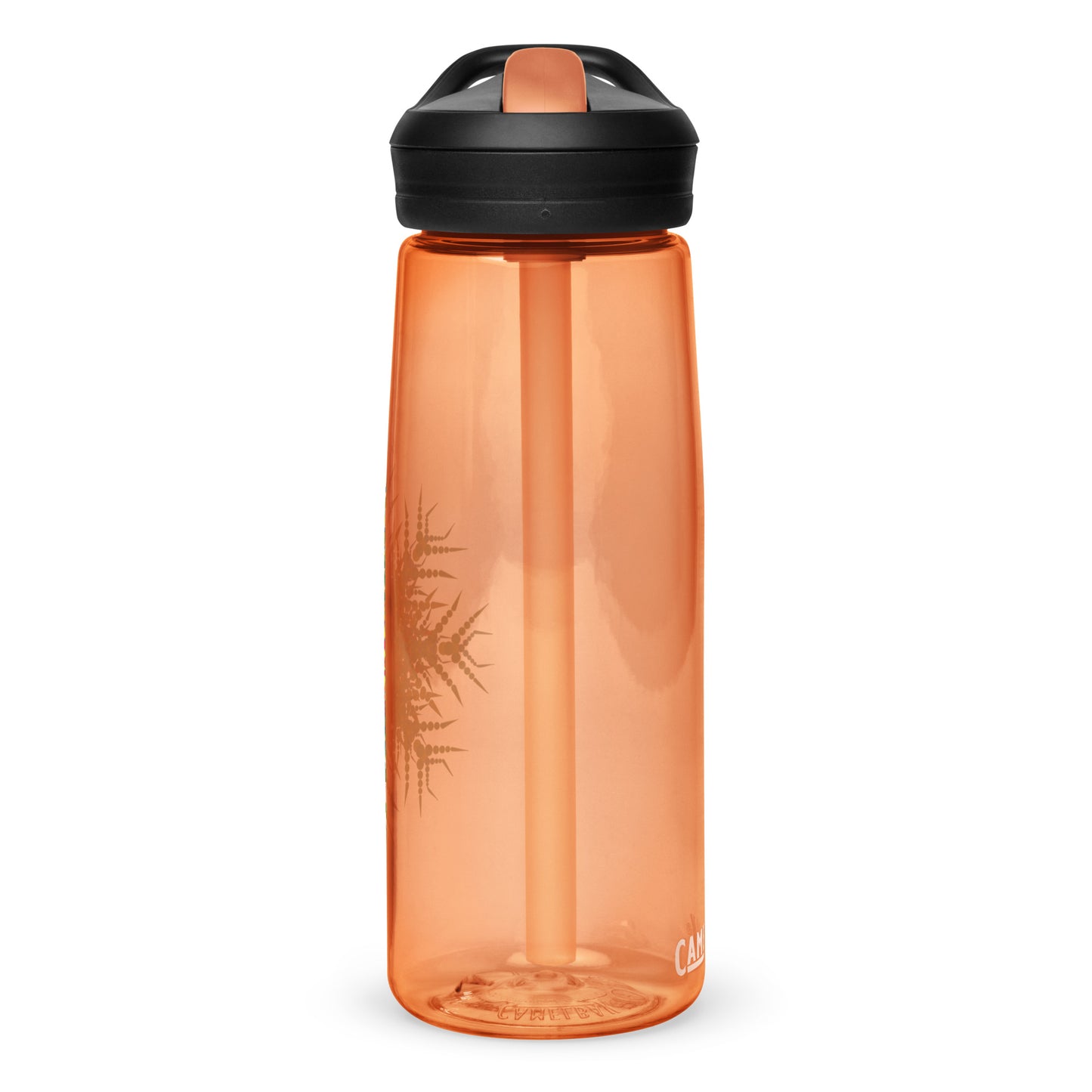 Sports water bottle