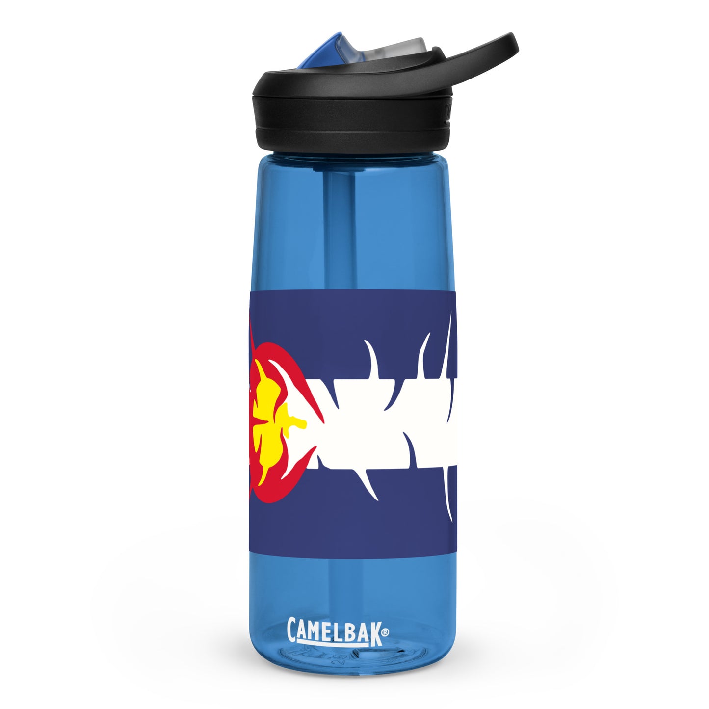 Sports water bottle