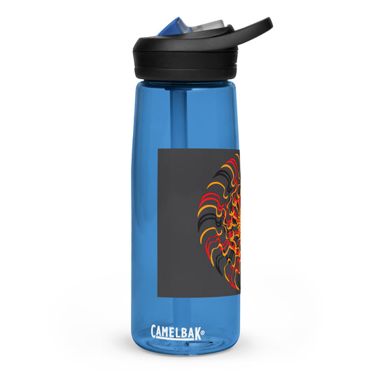 Sports water bottle