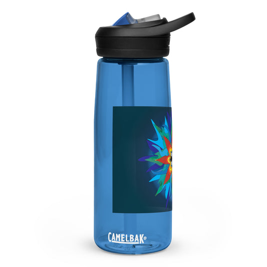 Sports water bottle