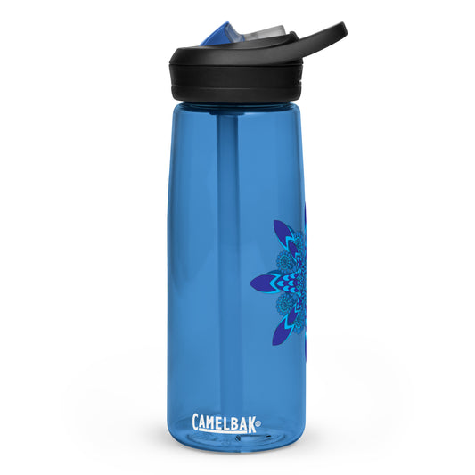 Sports water bottle