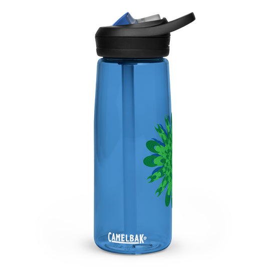 Sports water bottle