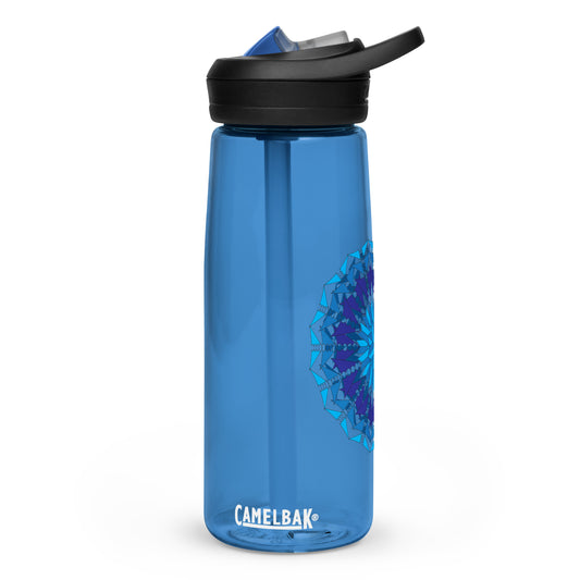 Sports water bottle