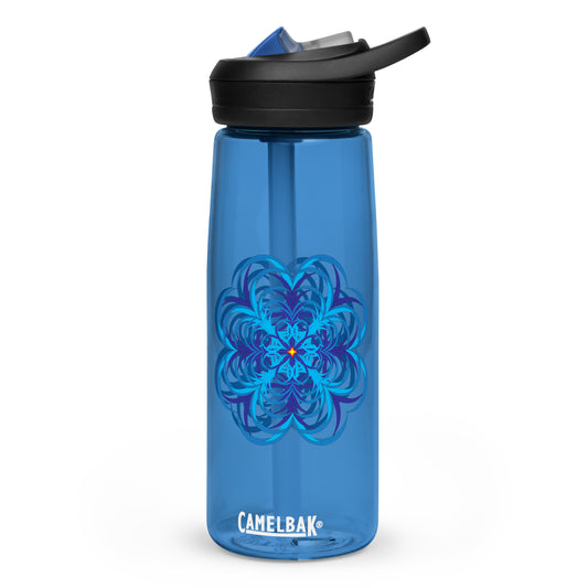 Sports water bottle