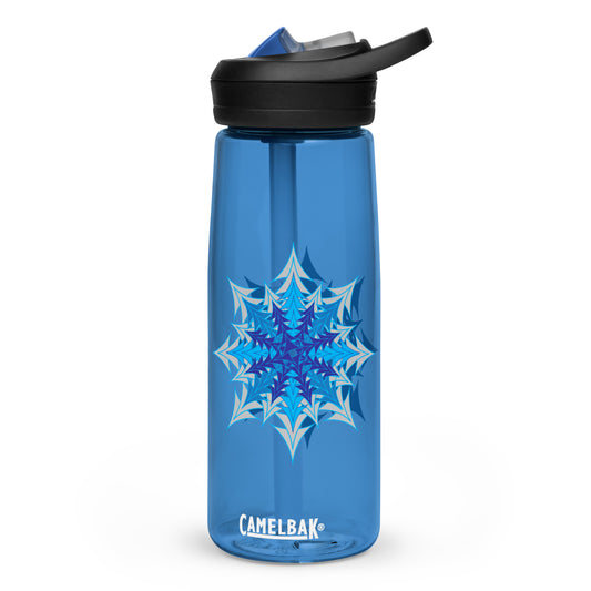 Sports water bottle