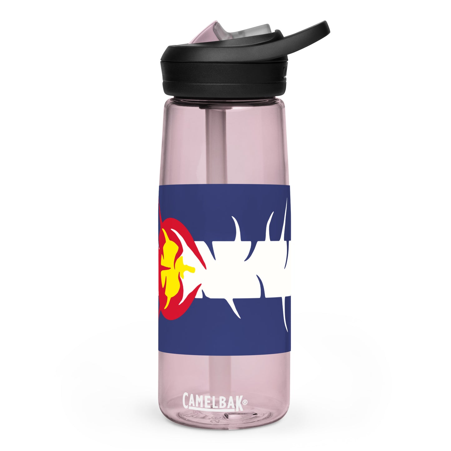 Sports water bottle