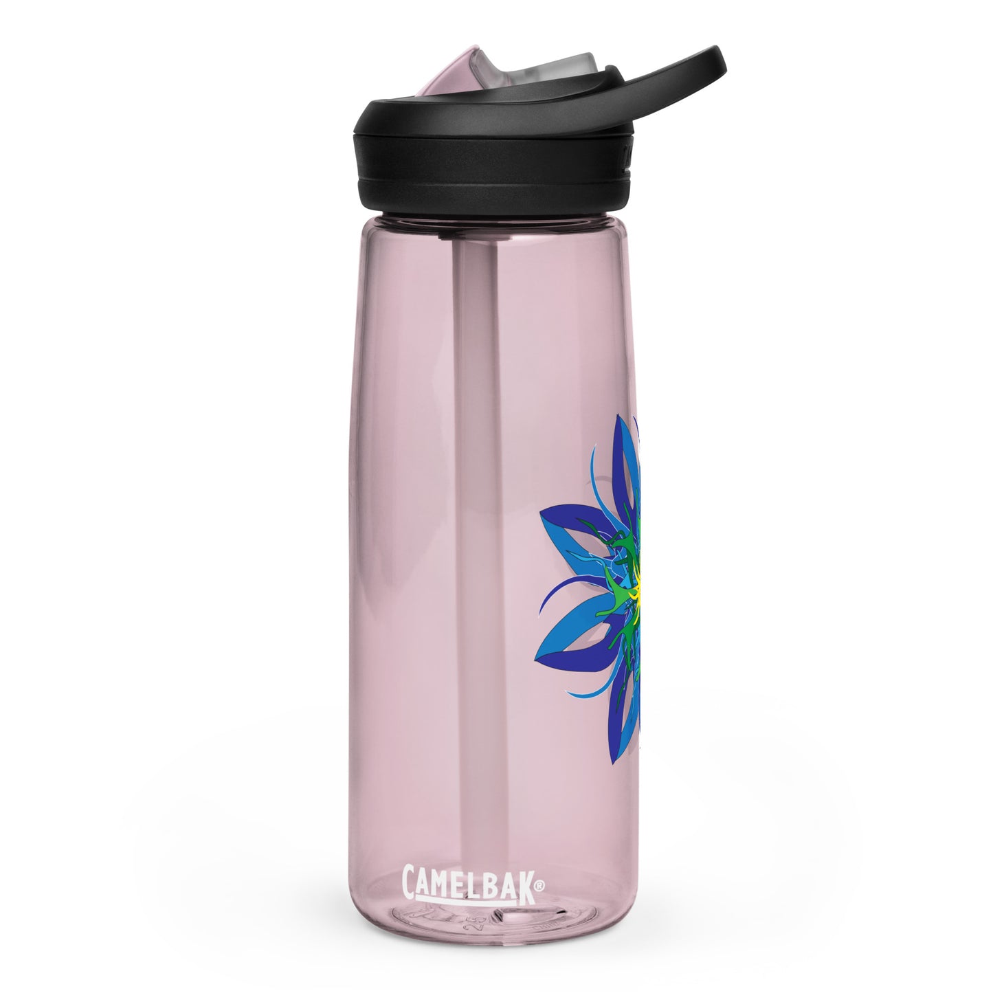 Sports water bottle