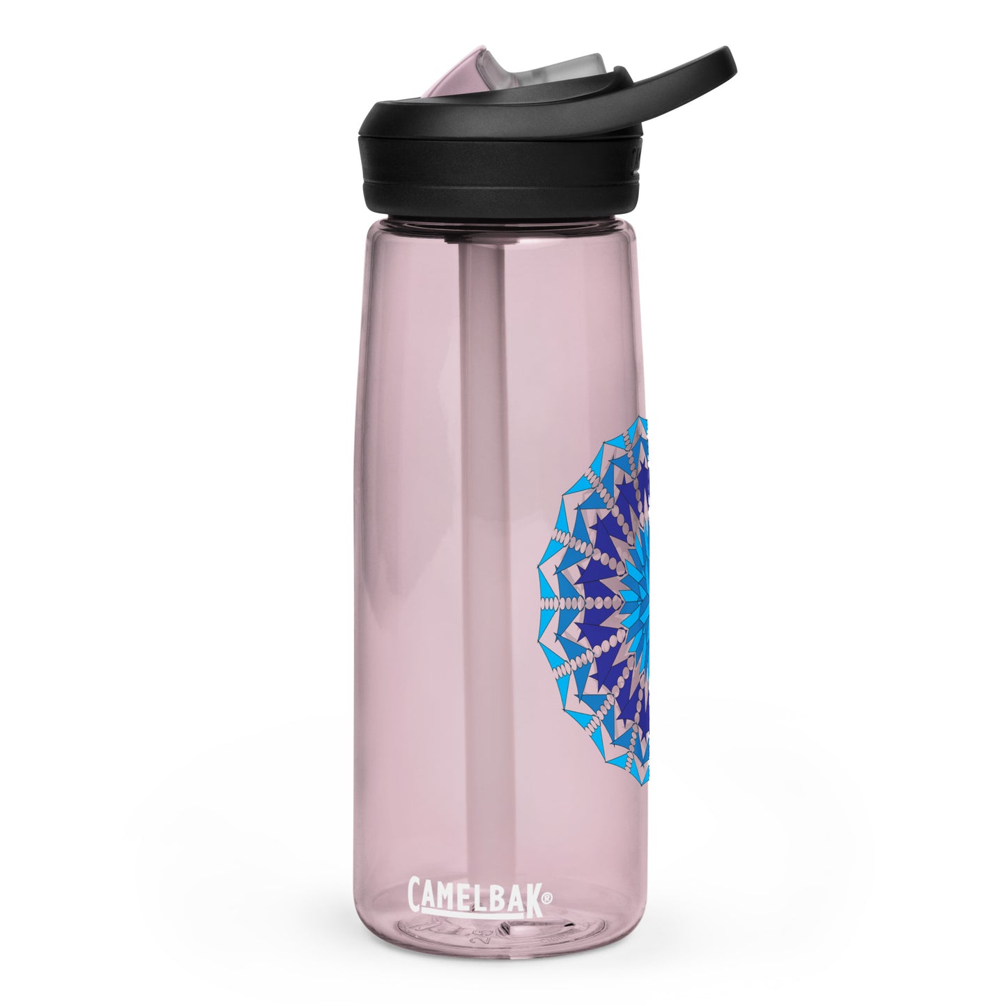 Sports water bottle