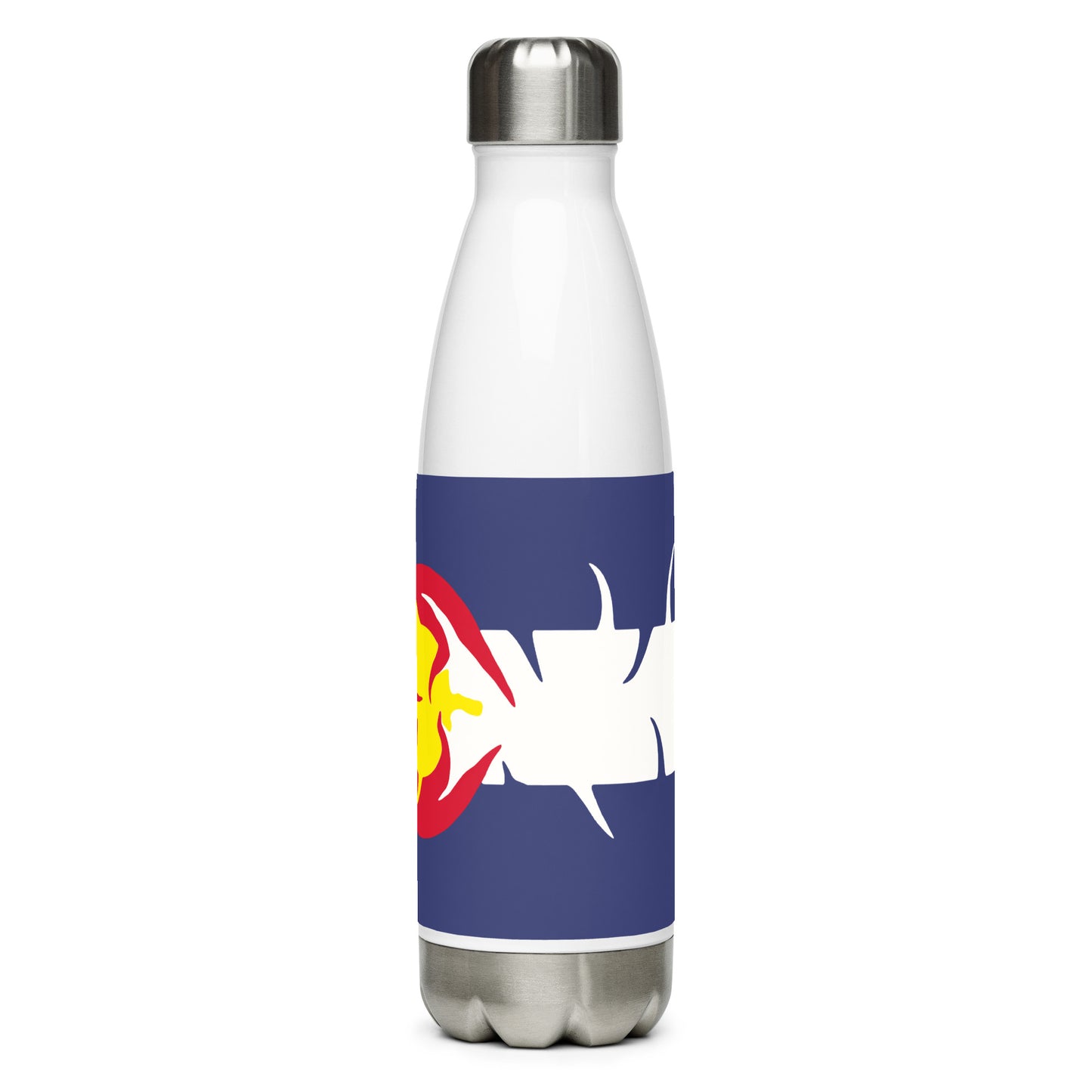 Stainless steel water bottle